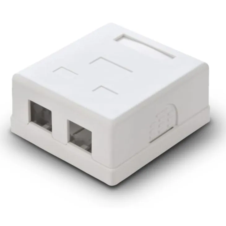 Two Ports Surface Mount Box